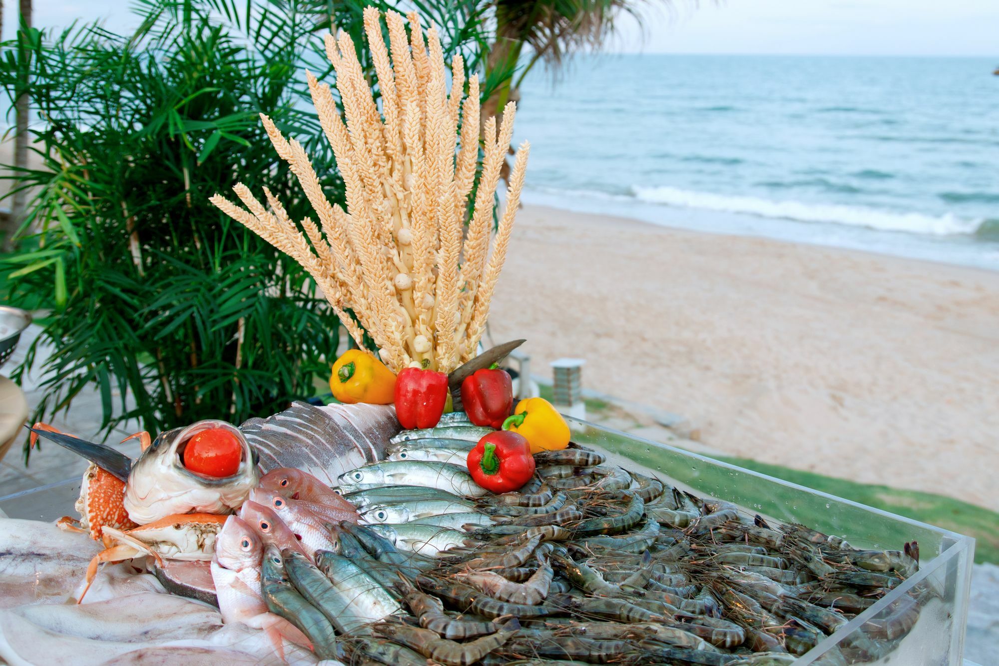 Villa Del Sol Beach Resort&Spa Phan Thiet Exterior foto